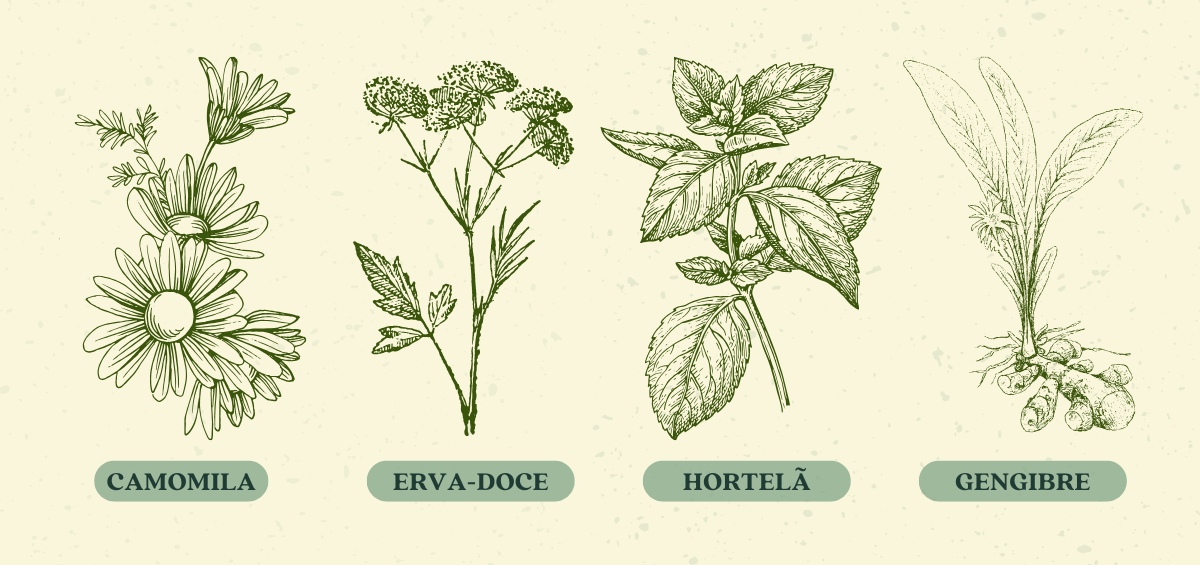 Ritual do bem-estar: conheça dicas de chás e aromas naturais - IAO