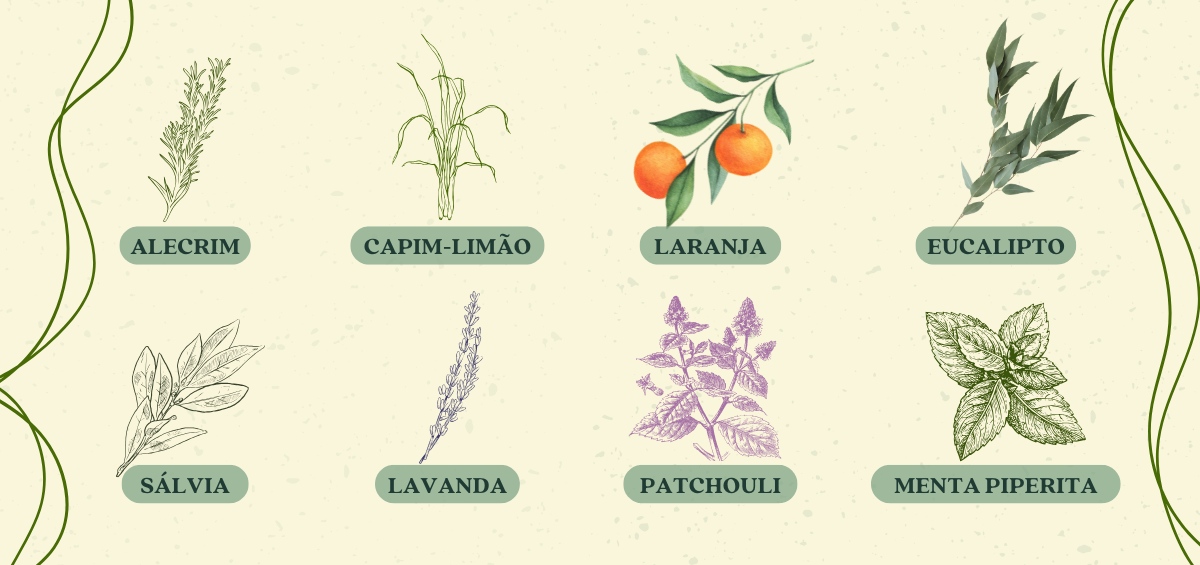 Ritual do bem-estar: conheça dicas de chás e aromas naturais - IAO